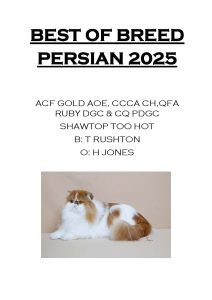 COTY 2025 Booklet_Page_05