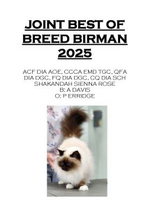 COTY 2025 Booklet_Page_06