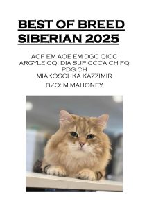 COTY 2025 Booklet_Page_09