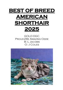 COTY 2025 Booklet_Page_14