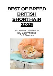 COTY 2025 Booklet_Page_15