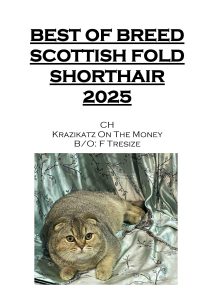 COTY 2025 Booklet_Page_16