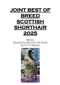 COTY 2025 Booklet_Page_17