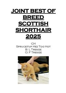 COTY 2025 Booklet_Page_18