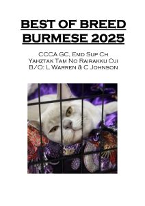 COTY 2025 Booklet_Page_19