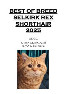 COTY 2025 Booklet_Page_23