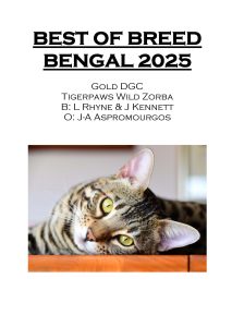 COTY 2025 Booklet_Page_25