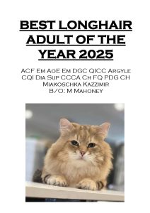 COTY 2025 Booklet_Page_42