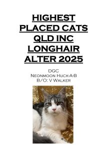 COTY 2025 Booklet_Page_43