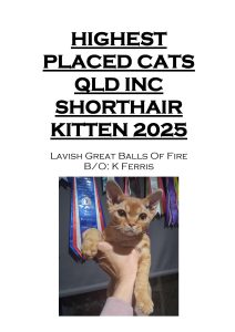 COTY 2025 Booklet_Page_49