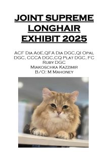 COTY 2025 Booklet_Page_64