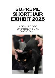 COTY 2025 Booklet_Page_65